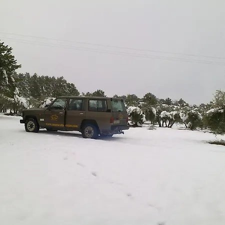 Holiday home Tejas El Picazo