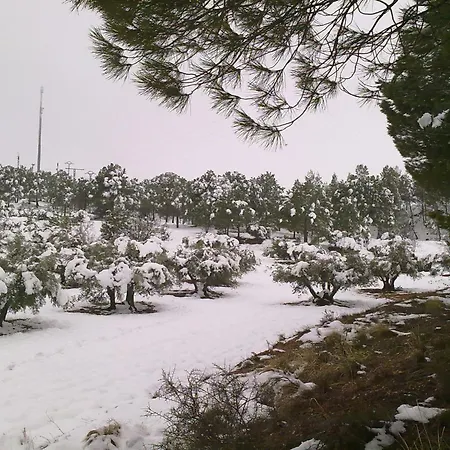 Tejas Holiday home El Picazo